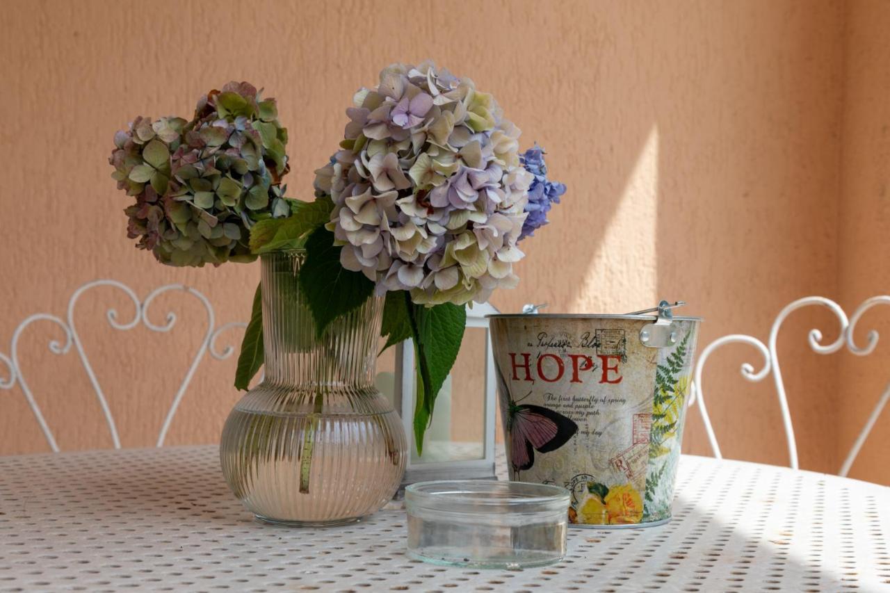 Maison Cecile Appartamento In Villa. Host Marianna Agliè 외부 사진